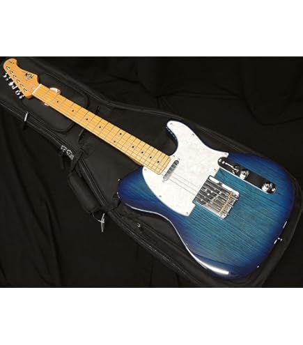 美品 FUJIGEN NTE100RAL-BK テレキャスター 日本製 ギター FUJIGEN（フジゲン） エレキギター テレキャスタータイプ Fujigen